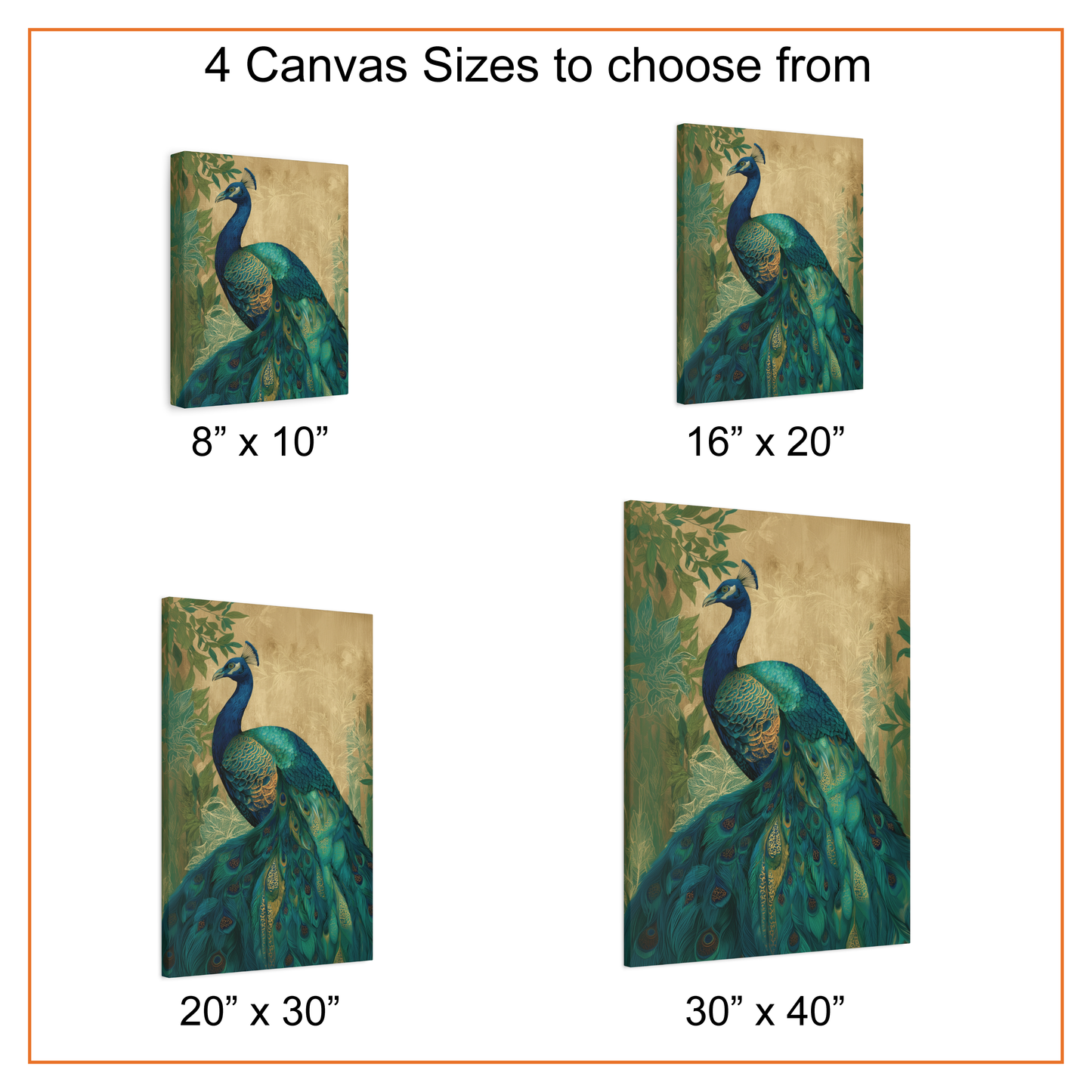 Canvas prints of a peacock in various sizes with dimensions displayed.
